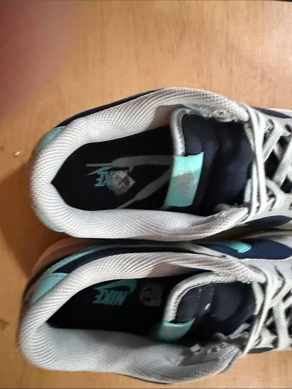 Nike Dunks